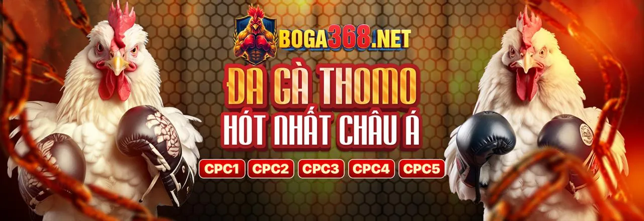 Giao diện thân thiện và dễ sử dụng của ae6789